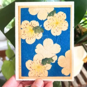 plantable seed card || zero waste || supports women j11