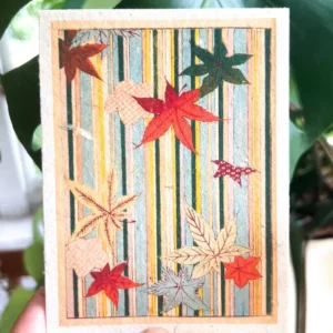 plantable seed card || zero waste || supports women j17