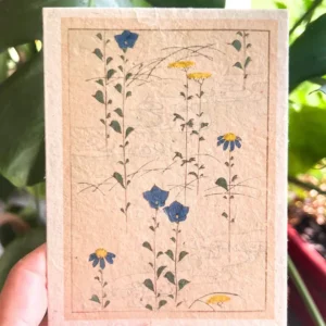 plantable seed card || zero waste || supports women j29