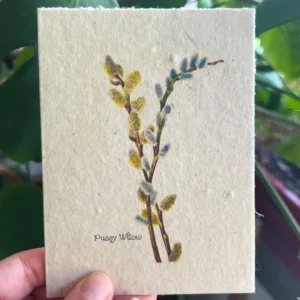 plantable seed card || zero waste || supports women mvw17