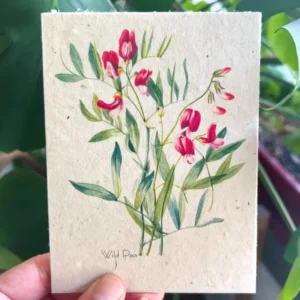 plantable seed card || zero waste || supports women mvw18