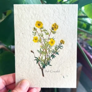 plantable seed card || zero waste || supports women mvw31
