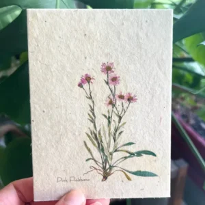 plantable seed card || zero waste || supports women mvw40