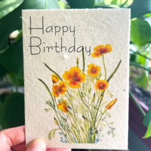 plantable seed card || zero waste || supports women mvw48