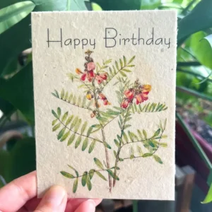 plantable seed card || zero waste || supports women mvw52