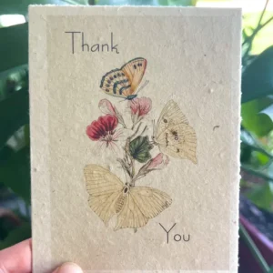 plantable seed card || zero waste || supports women mvw70